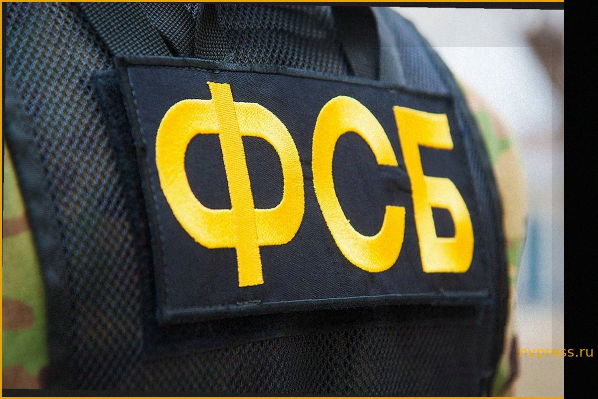 ФСБ: ВСУ оставили под Красноармейском схрон для диверсий