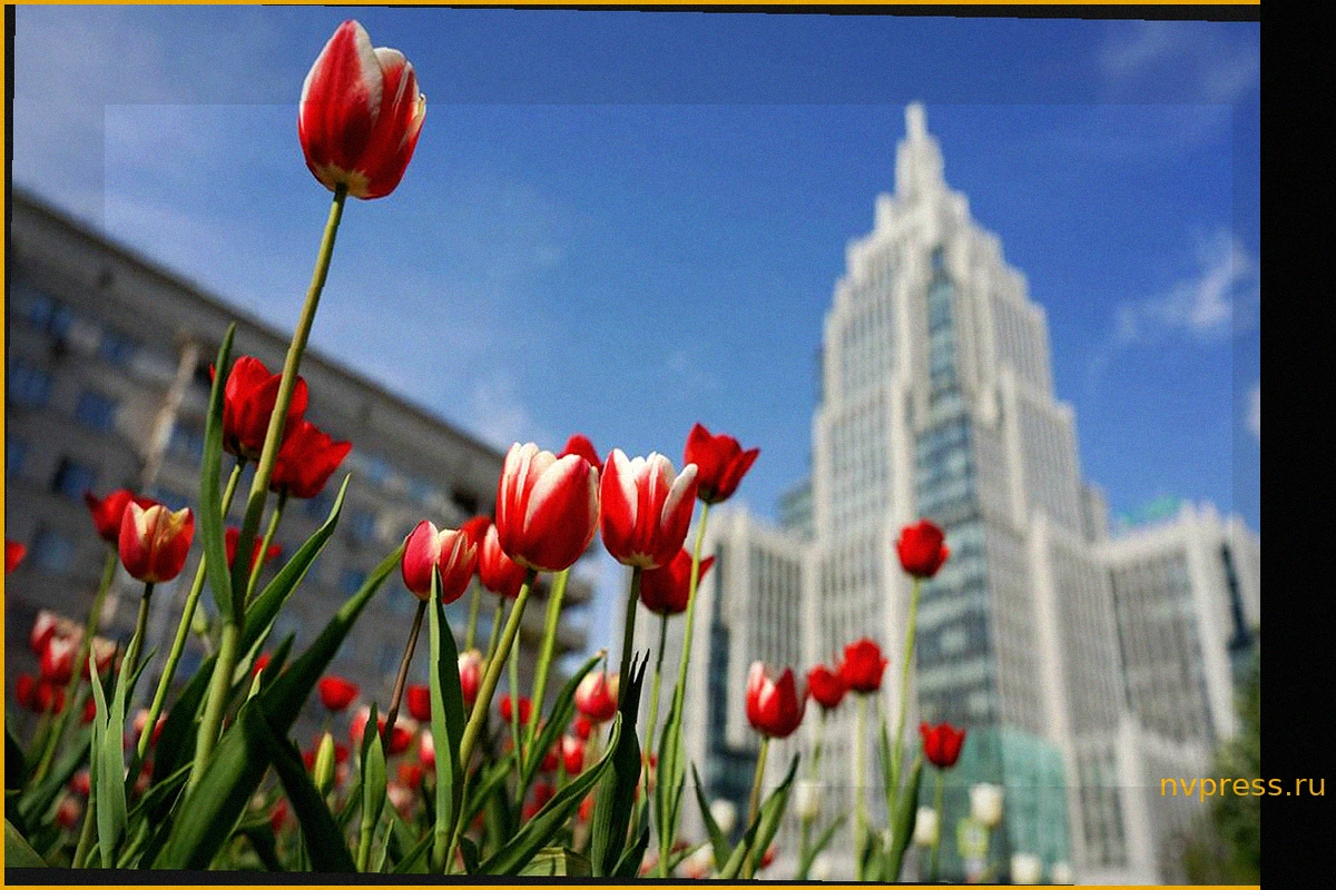 Прогноз погоды в Москве на 18 мая и предстоящую неделю: аномальная жара до +32 градусов