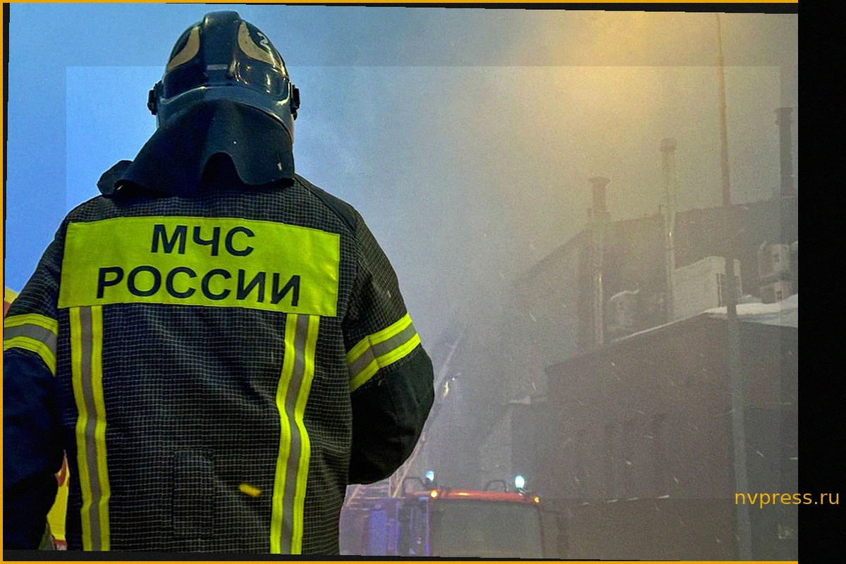 МЧС: Пожарные ликвидировали возгорание на рынке в Новой Москве