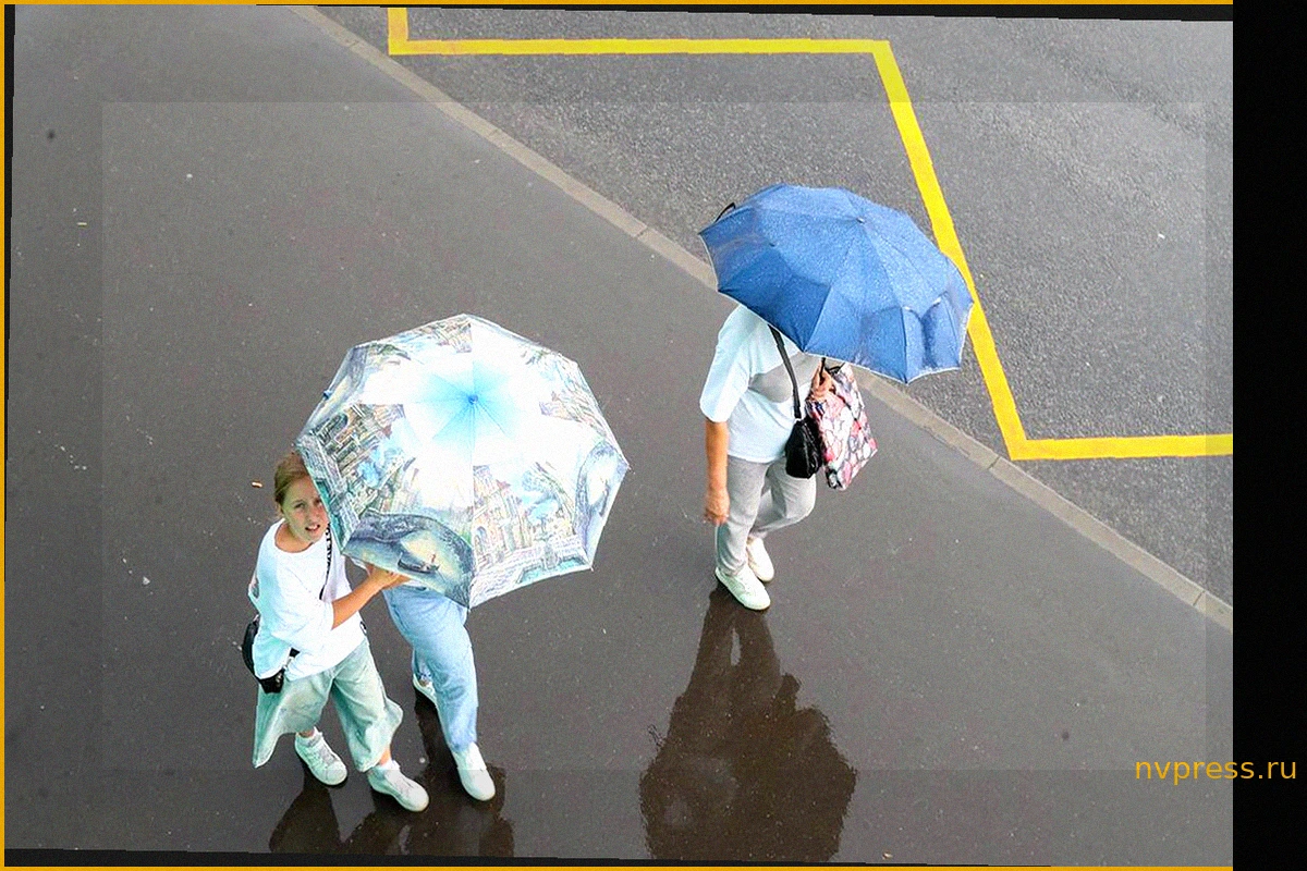 Прогноз погоды в Москве: Тепло и дожди 4 июня, летняя погода продлится на неделе