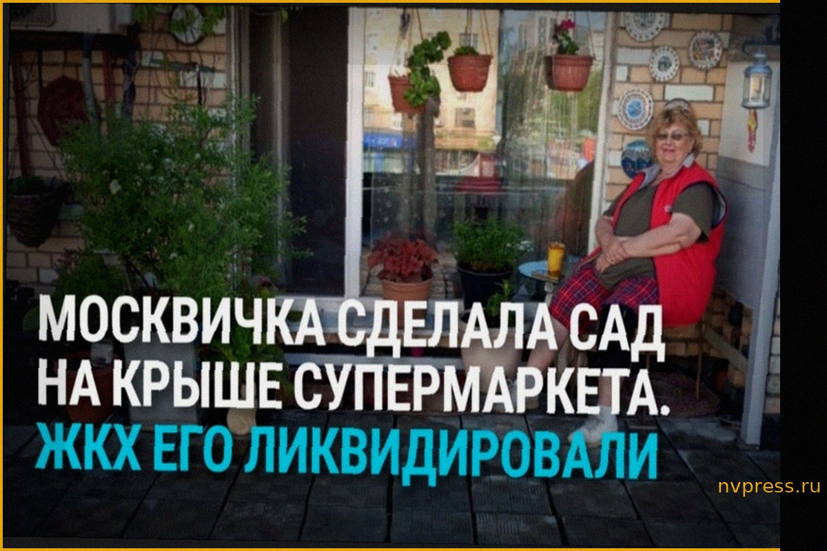 Московская пенсионерка десятилетиями создавала сад на крыше магазина, который власти снесли всего за сутки